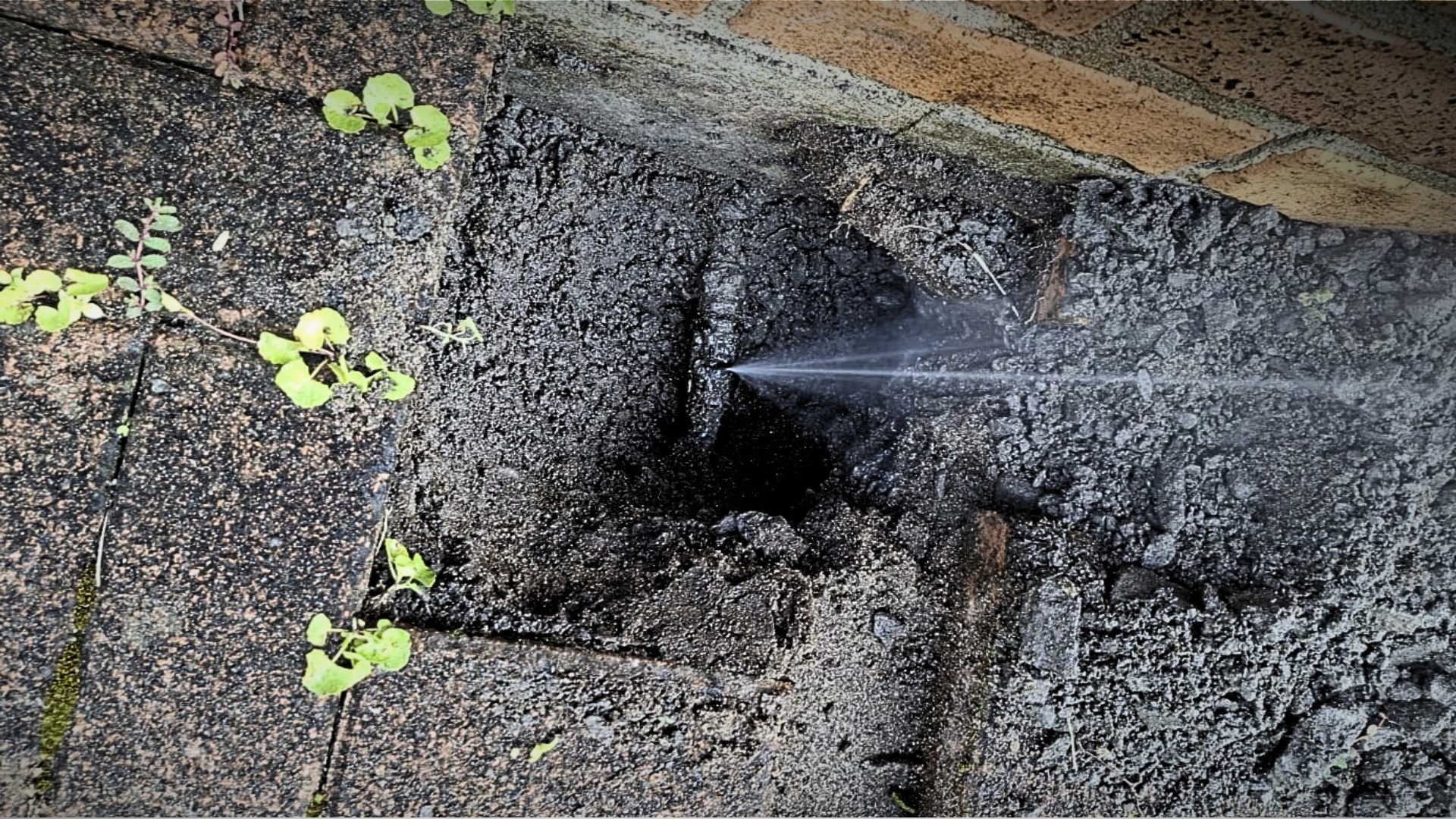 24/7 Emergency Plumber Auckland