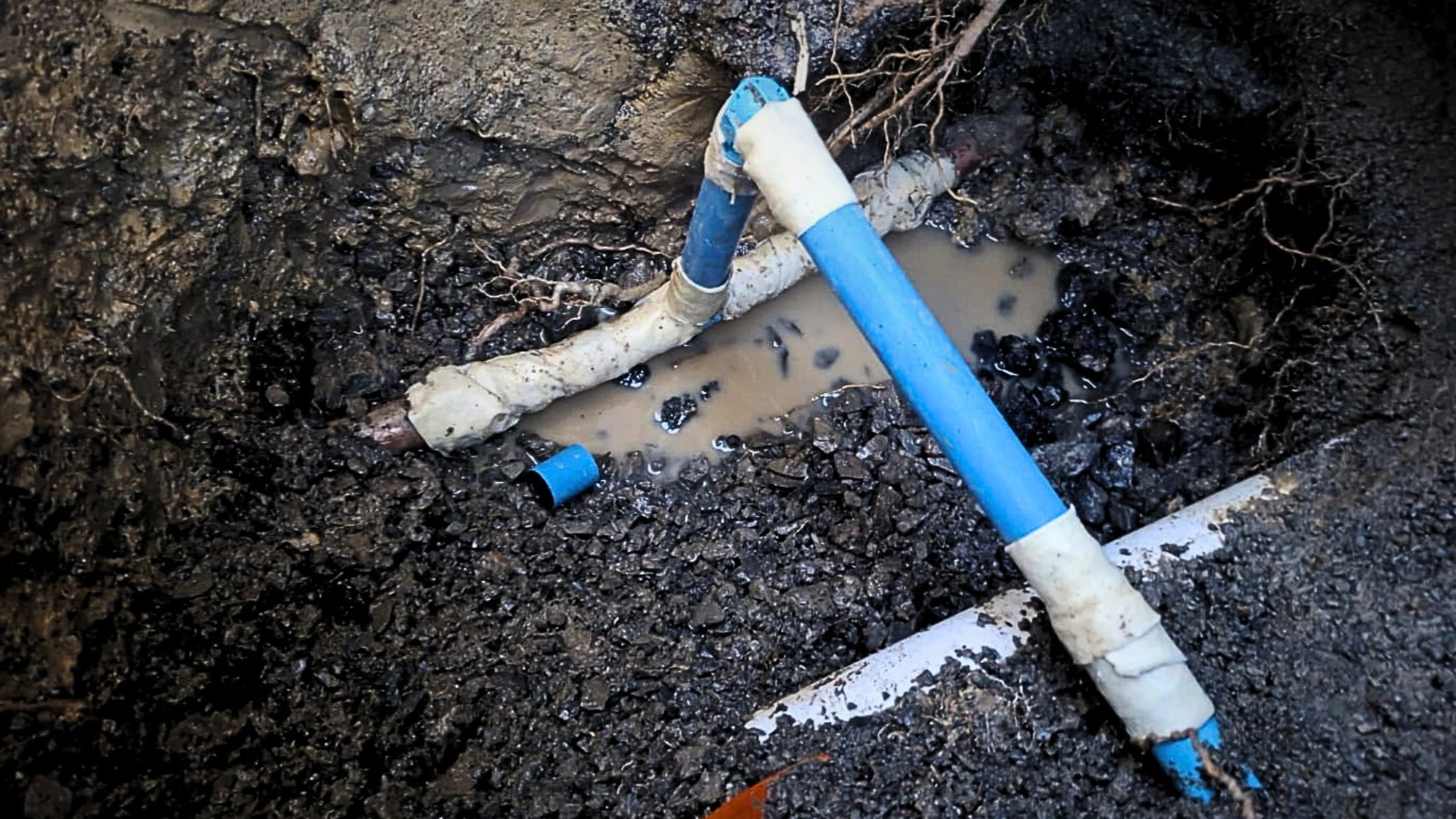 Water Leak Repairs Auckland